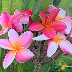 Meet your Posher, Kathryn